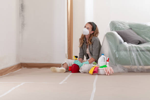 Reliable Mold Cleanup contractor in Woodstock, MD by Cheap Mold Removal